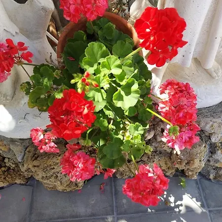 아파트 Cantinho Do Sol